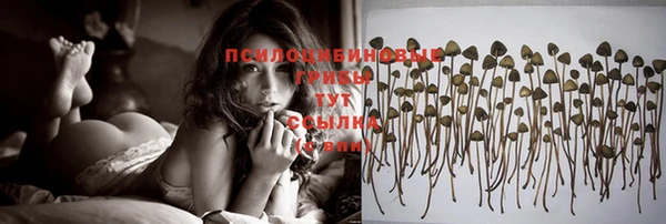jwh Покров